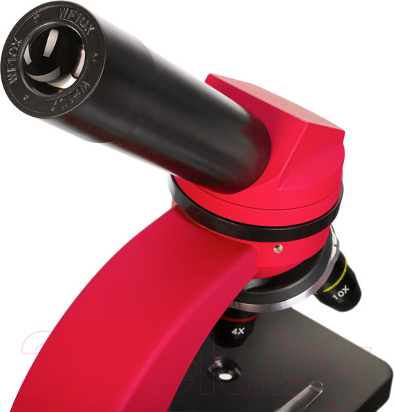 Изображение товара Микроскоп оптический Levenhuk Discovery Nano Terra с книгой / 77962