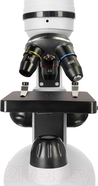 Изображение товара Микроскоп цифровой Levenhuk Discovery Nano Polar с книгой / 77968