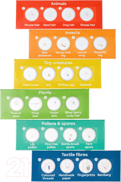 Изображение товара Микроскоп цифровой Levenhuk Discovery Nano Polar с книгой / 77968