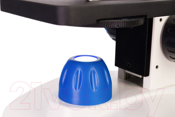 Изображение товара Микроскоп оптический Levenhuk Discovery Pico Gravity с книгой / 77971