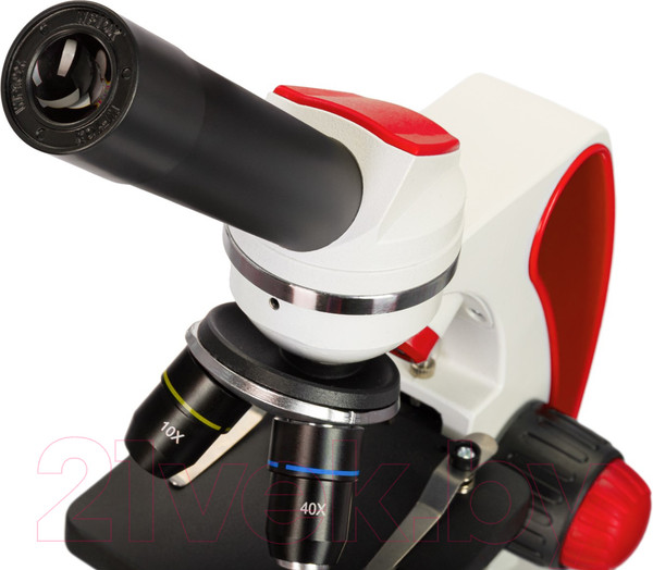 Изображение товара Микроскоп оптический Levenhuk Discovery Pico Terra с книгой / 77974