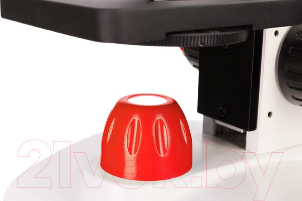 Изображение товара Микроскоп оптический Levenhuk Discovery Pico Terra с книгой / 77974