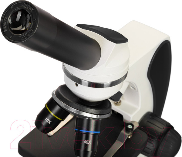 Изображение товара Микроскоп оптический Levenhuk Discovery Pico Polar с книгой / 77977