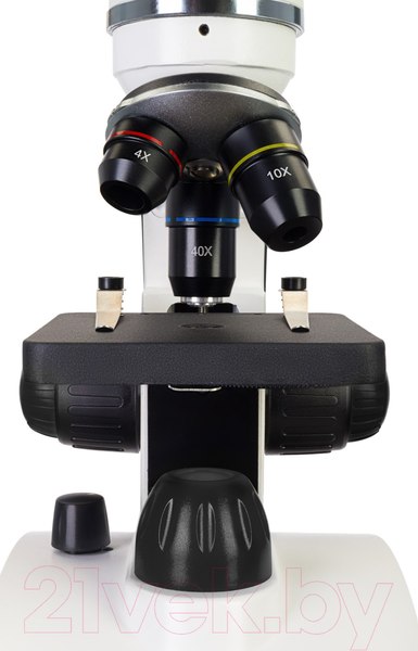 Изображение товара Микроскоп оптический Levenhuk Discovery Pico Polar с книгой / 77977