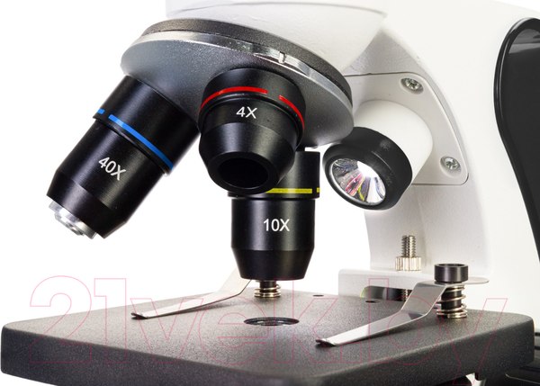 Изображение товара Микроскоп оптический Levenhuk Discovery Pico Polar с книгой / 77977
