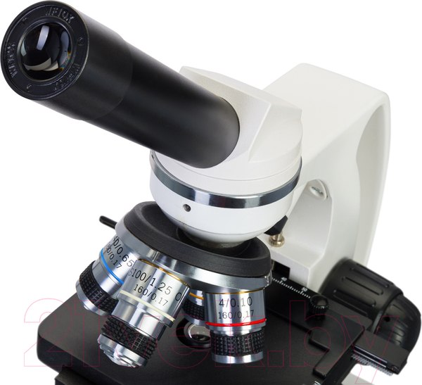 Изображение товара Микроскоп оптический Levenhuk Discovery Atto Polar с книгой / 77989