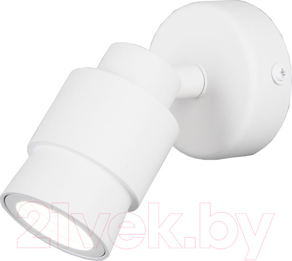 Изображение товара Спот Евросвет 20125/1 LED (белый)