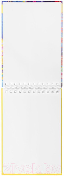 Изображение товара Скетчбук Brauberg Art Debut / 112985 (белая бумага)