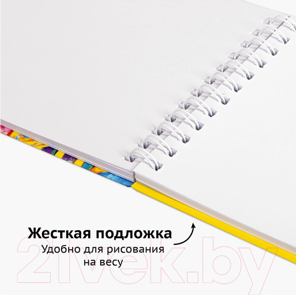 Изображение товара Скетчбук Brauberg Art Debut / 112985 (белая бумага)