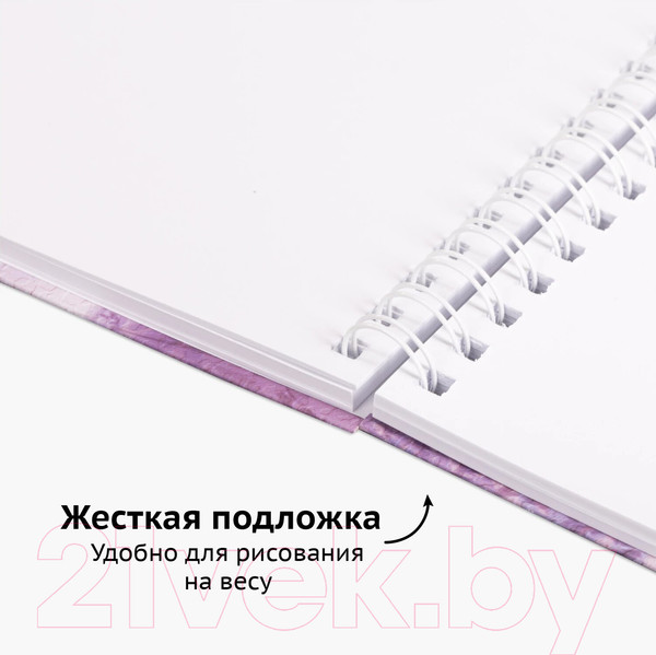 Изображение товара Скетчбук Brauberg Art Debut / 112990 (белая бумага)