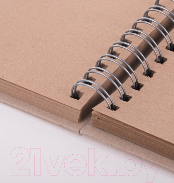 Изображение товара Скетчбук Brauberg Art Debut / 112999 (крафт бумага)