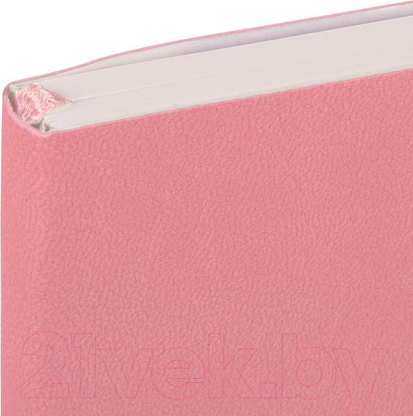 Изображение товара Записная книжка Brauberg Ultra / 113008 (светло-розовый)