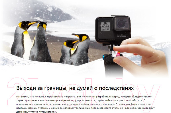 Изображение товара Карта памяти Silicon Power Elite MicroSDXC UHS-1 (Class 10) 64GB / SP064GBSTXBV1V20SP