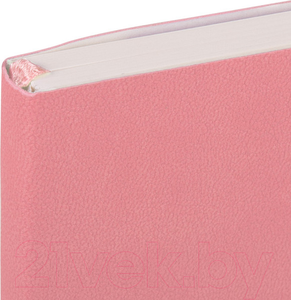 Изображение товара Записная книжка Brauberg Ultra / 113015 (светло-розовый)