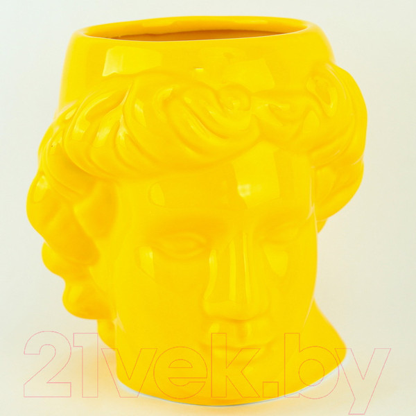 Изображение товара Кружка Darvish Голова Давида / DV-H-1328Y (желтый)