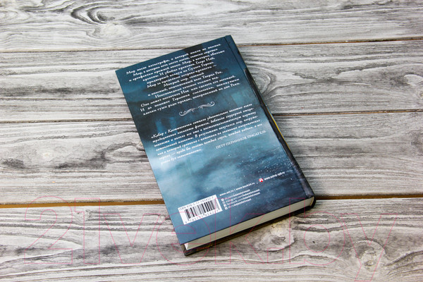 Изображение товара Книга АСТ Мокрый мир (Кабир М.А.)