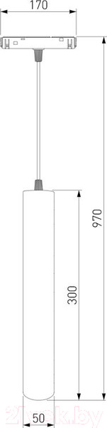 Изображение товара Трековый светильник Elektrostandard Slim Magnetic P01 85014/01 (черный)