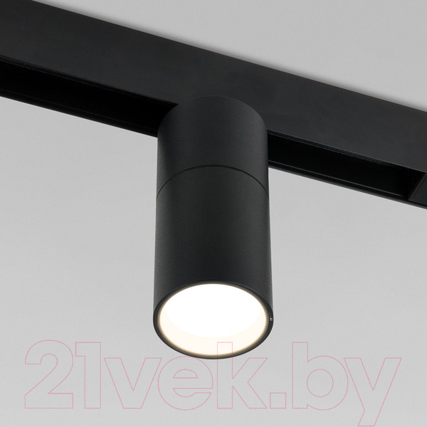 Изображение товара Трековый светильник Elektrostandard Slim Magnetic R02 85012/01 (черный)