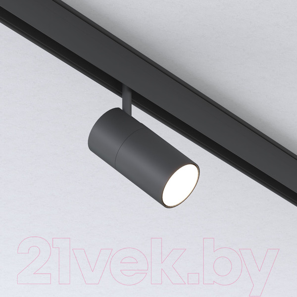 Изображение товара Трековый светильник Elektrostandard Slim Magnetic R02 85012/01 (черный)