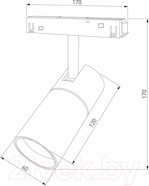 Изображение товара Трековый светильник Elektrostandard Slim Magnetic R02 85012/01 (черный)