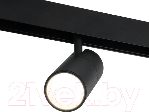 Изображение товара Трековый светильник Elektrostandard Slim Magnetic R02 85012/01 (черный)