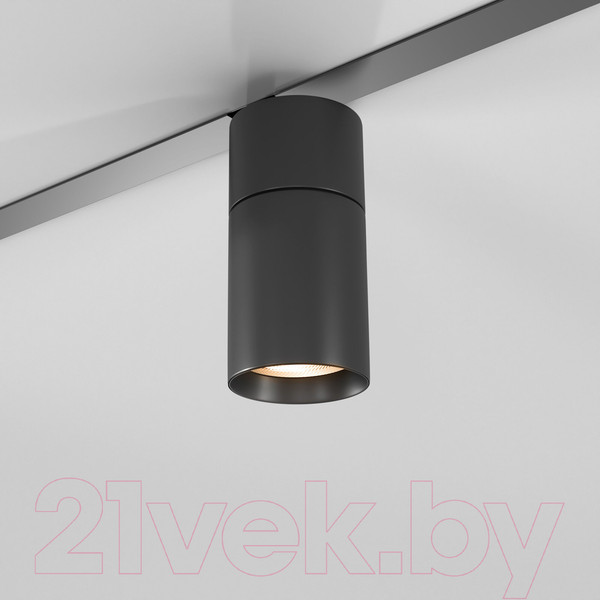 Изображение товара Трековый светильник Elektrostandard Slim Magnetic R02 85012/01 (черный)
