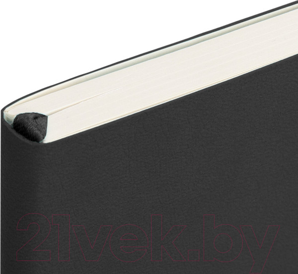 Изображение товара Записная книжка Brauberg Ultra / 113024 (черный)