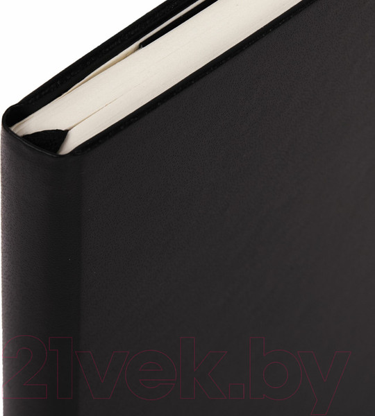Изображение товара Записная книжка Brauberg Ultra / 113032 (черный)