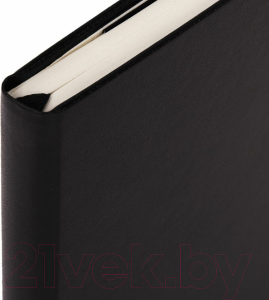 Изображение товара Записная книжка Brauberg Ultra / 113040 (черный)