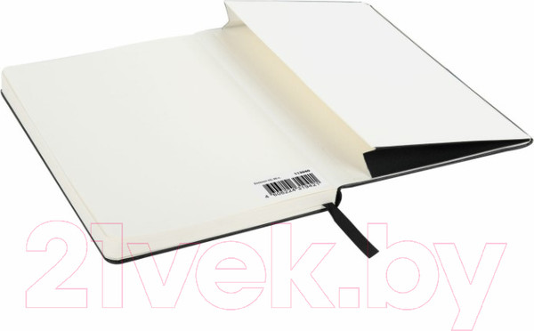 Изображение товара Записная книжка Brauberg Ultra / 113040 (черный)