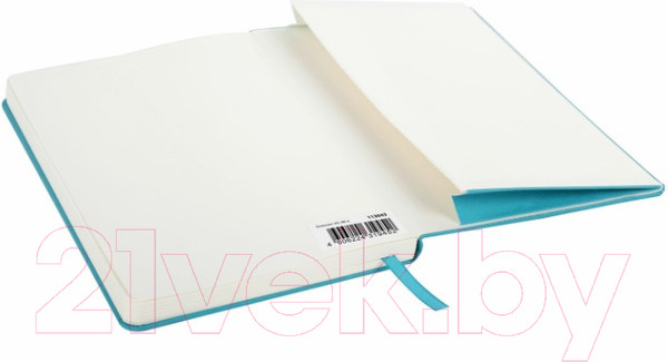 Изображение товара Записная книжка Brauberg Ultra / 113043 (бирюзовый)