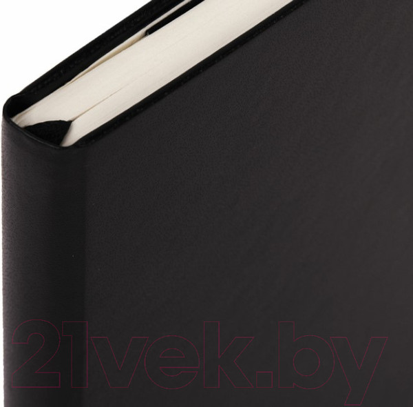 Изображение товара Записная книжка Brauberg Ultra / 113044 (черный)