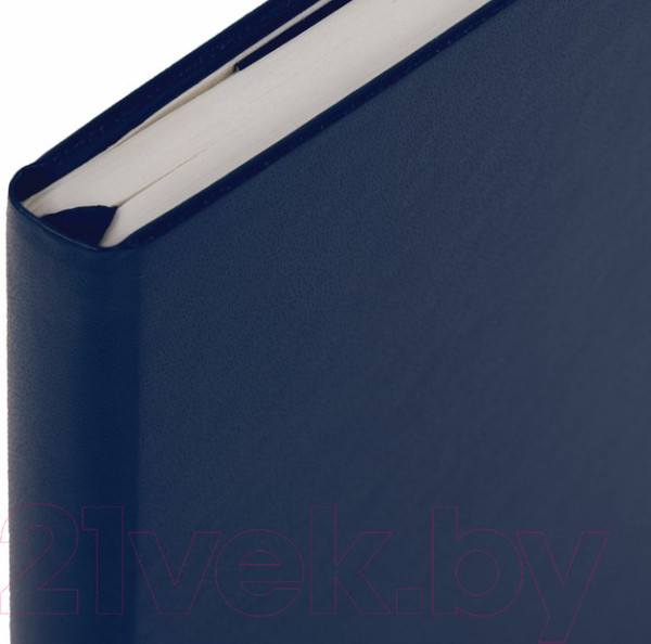 Изображение товара Записная книжка Brauberg Ultra / 113045 (темно-синий)