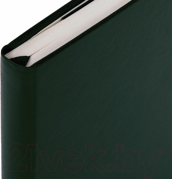 Изображение товара Записная книжка Brauberg Ultra / 113047 (темно-зеленый)