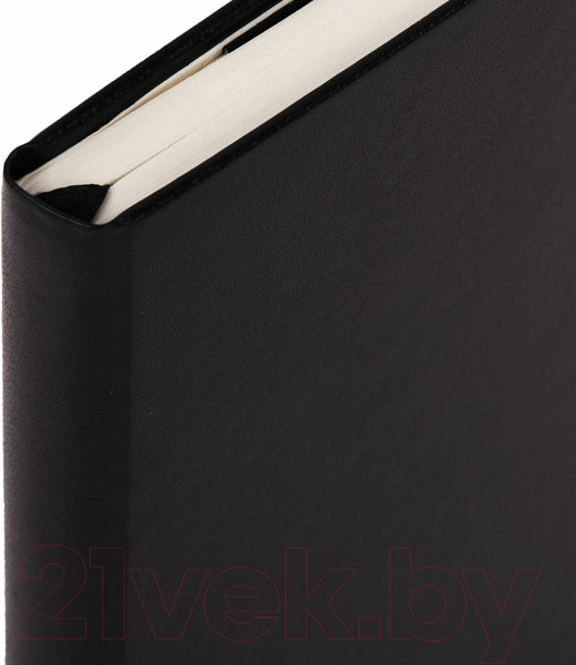 Изображение товара Записная книжка Brauberg Ultra / 113048 (черный)