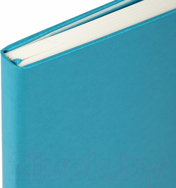 Изображение товара Записная книжка Brauberg Ultra / 113050 (бирюзовый)