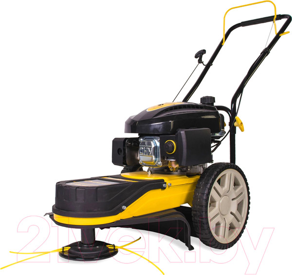 Изображение товара Газонокосилка бензиновая Champion LMH5629