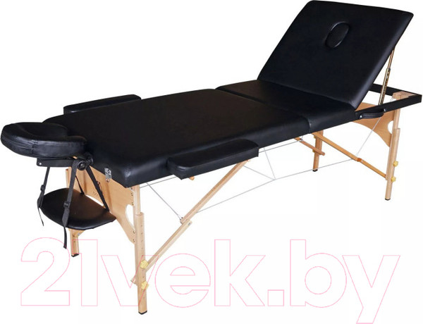 Изображение товара Массажный стол DFC Nirvana Relax Pro/ TS3021-B1 (черный)