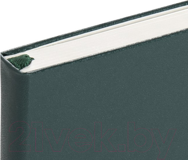 Изображение товара Записная книжка Brauberg Ultra / 113055 (темно-зеленый)