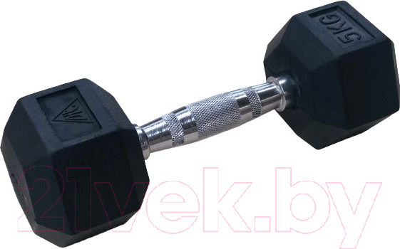 Изображение товара Набор гантелей DFC DB001-5 (2шт)