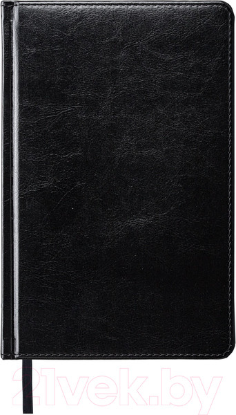 Изображение товара Ежедневник Brauberg Rainbow / 113497 (черный/желтый)