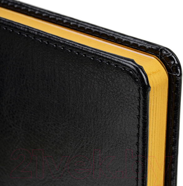 Изображение товара Ежедневник Brauberg Rainbow / 113497 (черный/желтый)