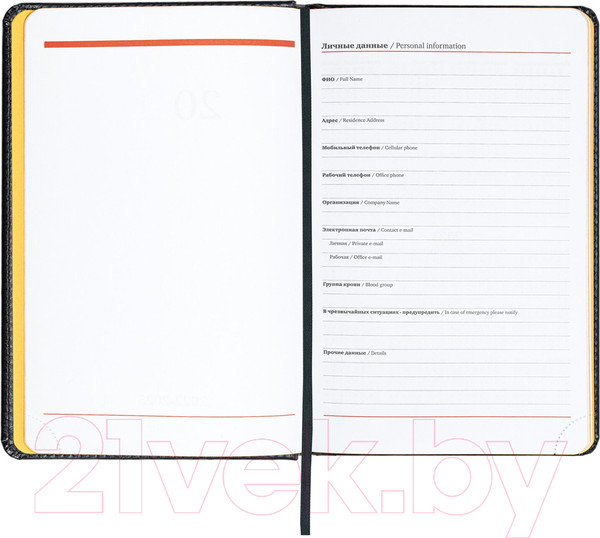 Изображение товара Ежедневник Brauberg Rainbow / 113497 (черный/желтый)