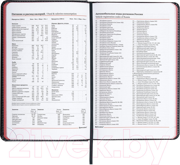 Изображение товара Ежедневник Brauberg Rainbow / 113498 (черный/красный)