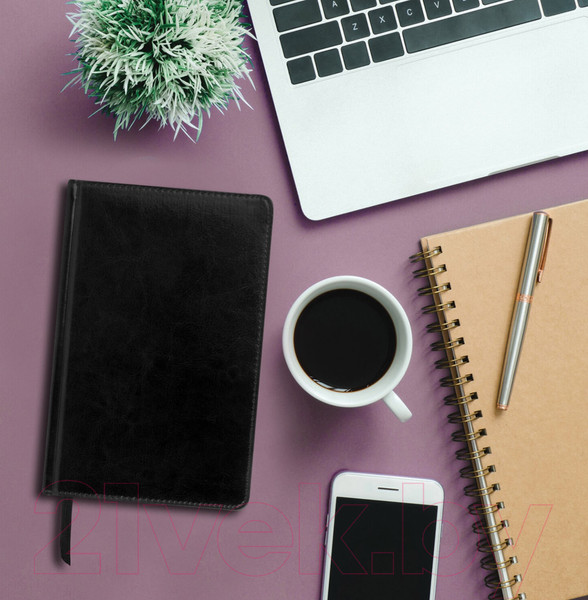 Изображение товара Ежедневник Brauberg Imperial / 113499  (черный)