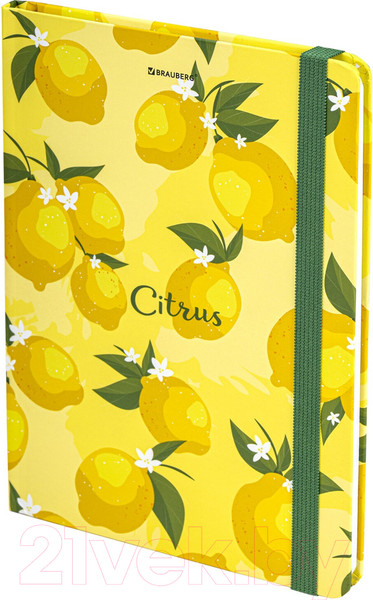 Изображение товара Записная книжка Brauberg Lemons / 113727