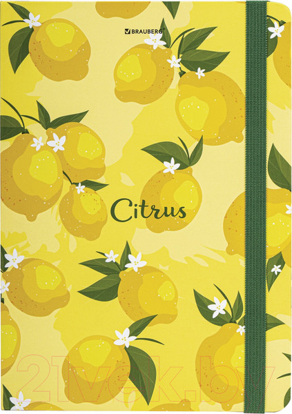 Изображение товара Записная книжка Brauberg Lemons / 113727
