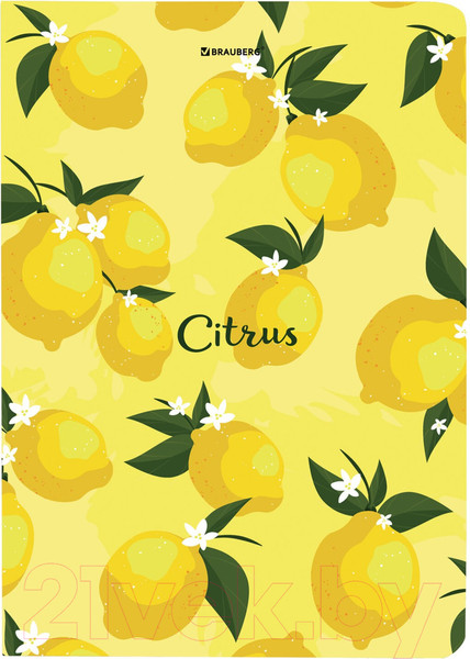 Изображение товара Записная книжка Brauberg Lemons / 113727