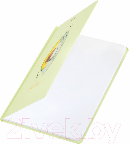 Изображение товара Записная книжка Brauberg Avocado / 113733