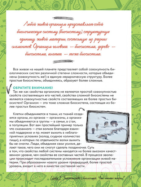 Изображение товара Энциклопедия АСТ Увлекательно о биологии: в иллюстрациях (Шляхов А.Л.)